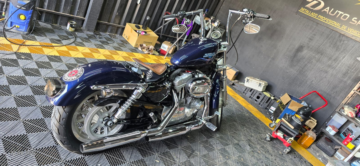 Harley Davidson Sporster Iron 2009