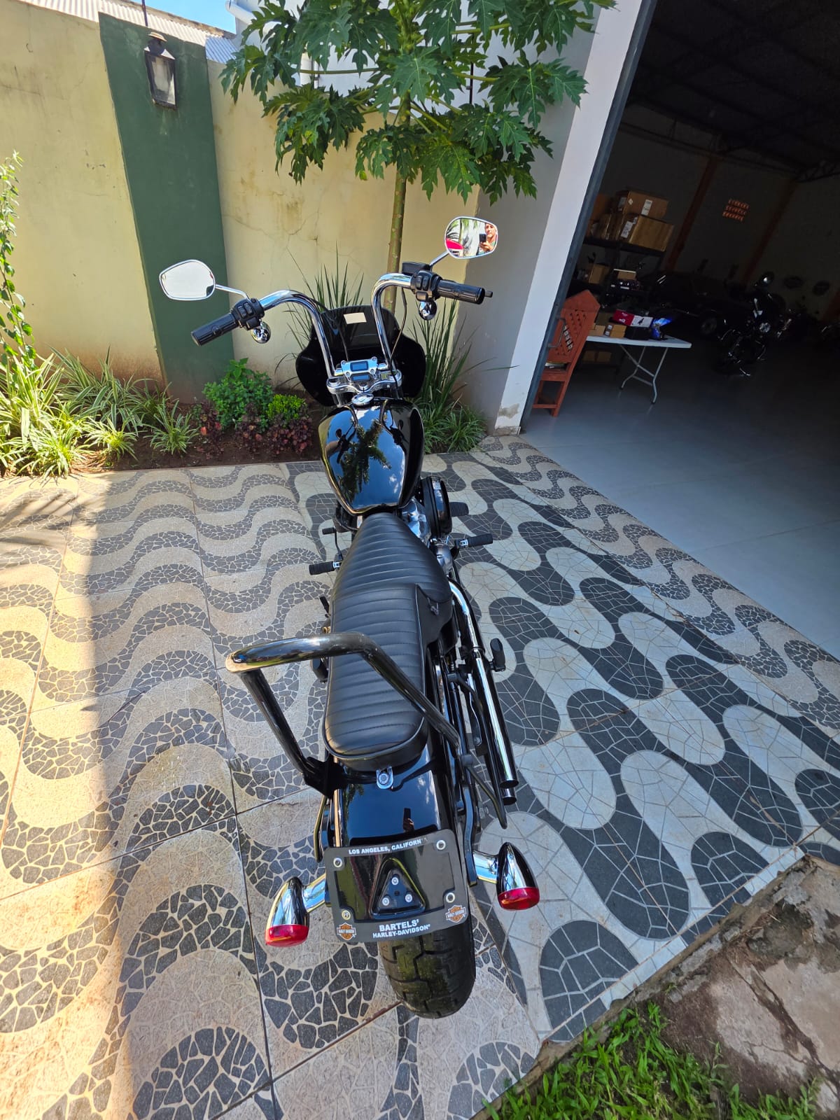 2020 Softail Standard