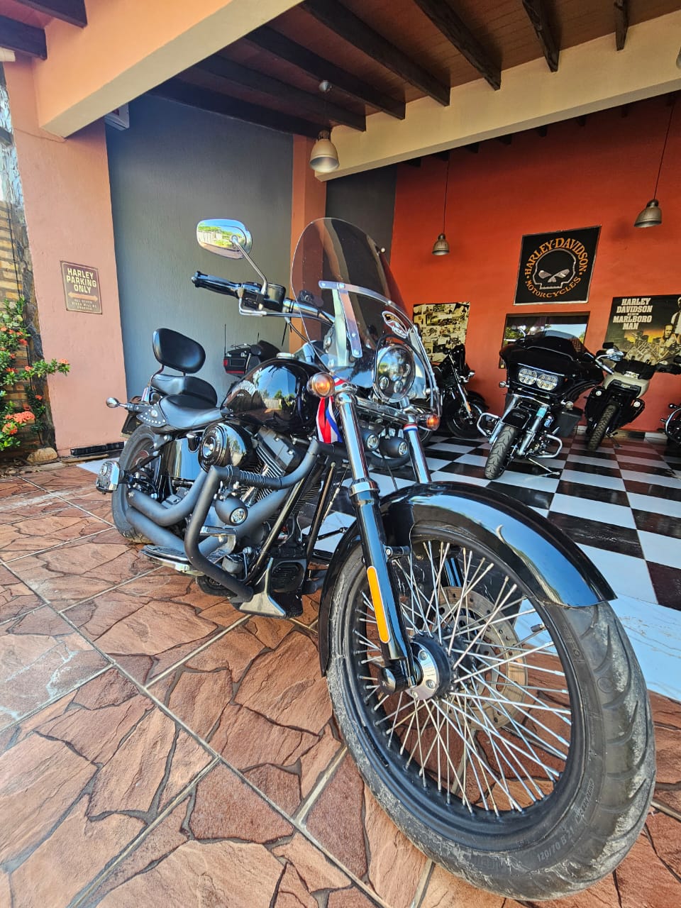 Harley Davidson Softail 2009 - VENDIDO