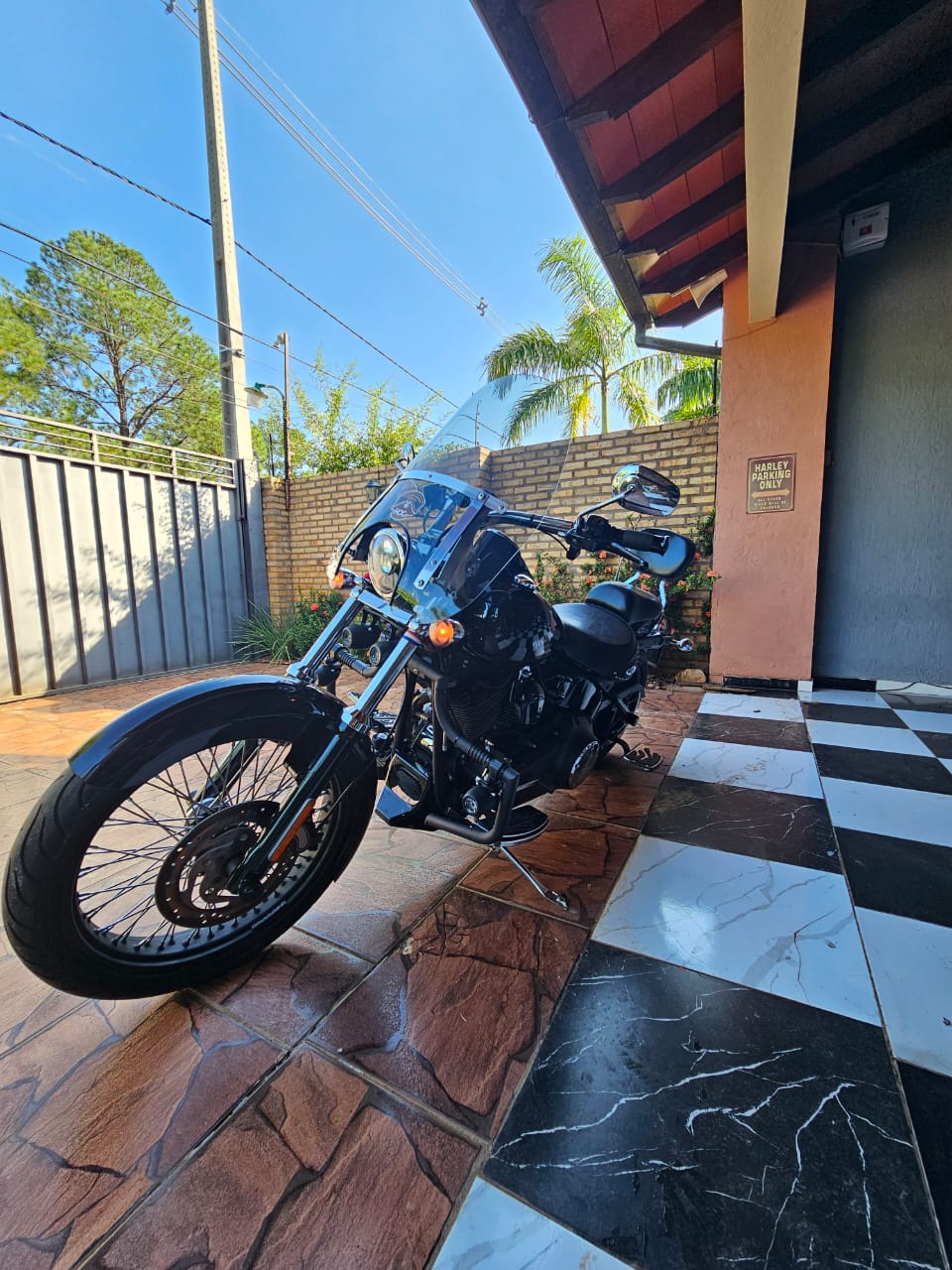 Harley Davidson Softail 2009 - VENDIDO