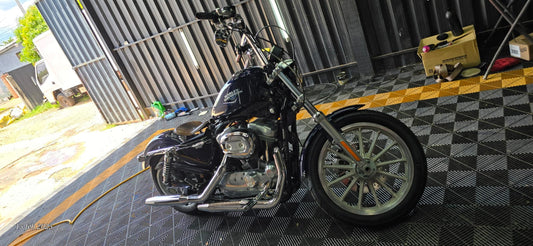 Harley Davidson Sporster Iron 2009