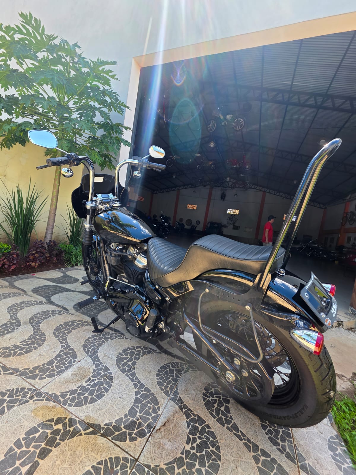 2020 Softail Standard