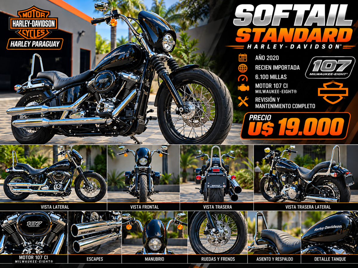 2020 Softail Standard