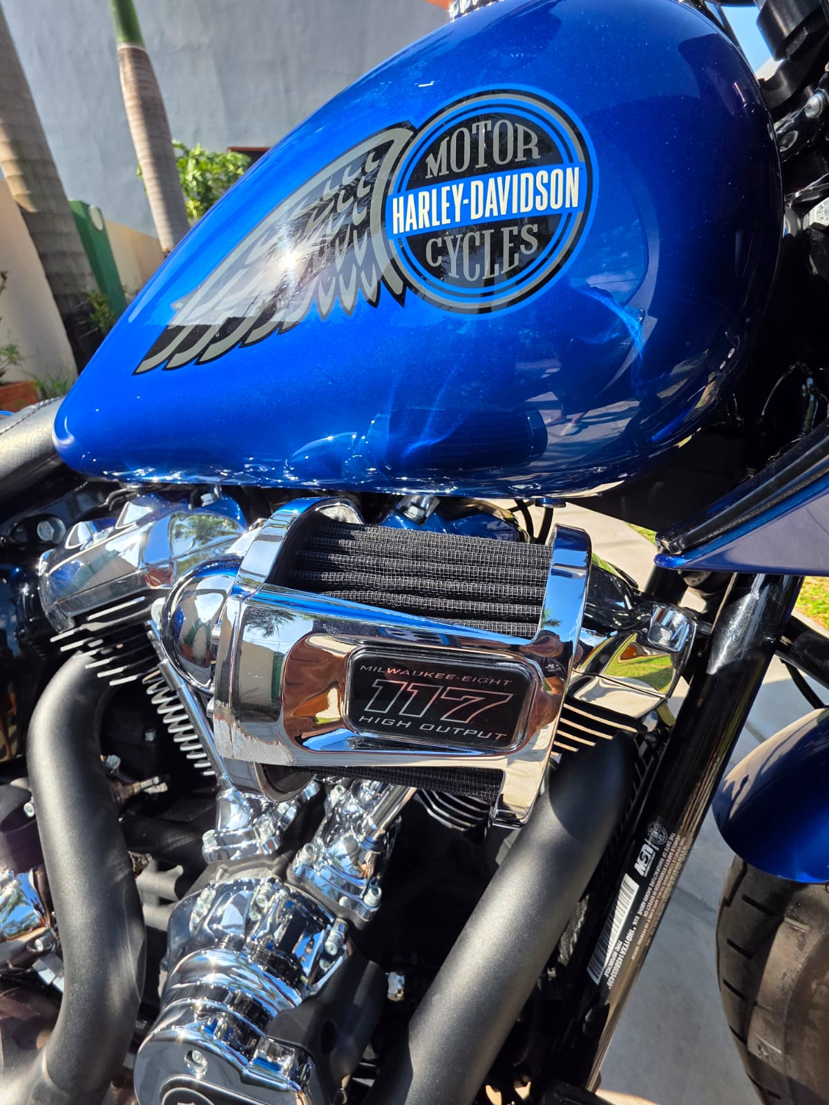 2025 Low Rider ST - Varios accesorios 
Única en Paraguay