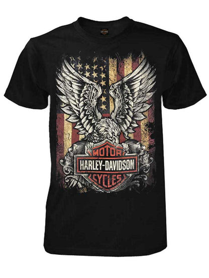 Camiseta Harley-Davidson Custom Freedom de manga corta con cuello redondo para hombre - Negro (L), Harley Davidson
