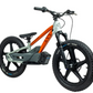 18eDRIVE PAN AMERICA EDICIÓN DE LANZAMIENTO e-BIKE