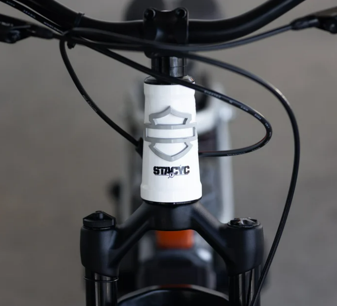 BICICLETA ELÉCTRICA 20eDRIVE PAN AMERICA EDICIÓN DE LANZAMIENTO