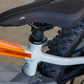 18eDRIVE PAN AMERICA EDICIÓN DE LANZAMIENTO e-BIKE