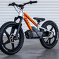 18eDRIVE PAN AMERICA EDICIÓN DE LANZAMIENTO e-BIKE