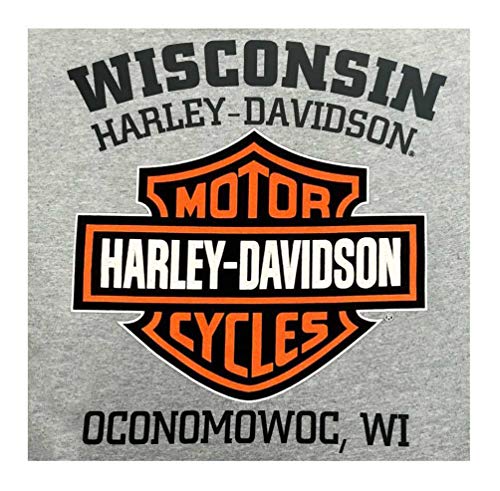 Harley-Davidson Men's Tee, Distressed Bar & Shield Short Sleeve 30296597 (L) Athletic Grey