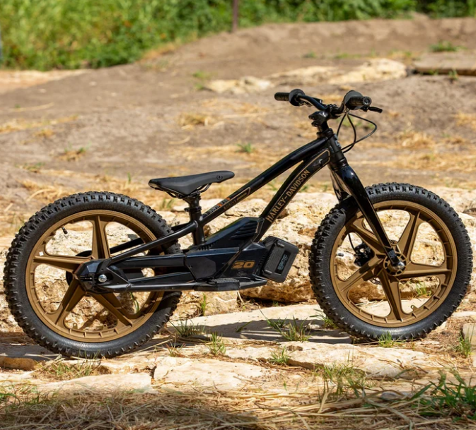 eBike 20e Low Rider Edition
