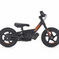 IRONe12