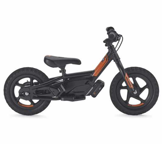IRONe12