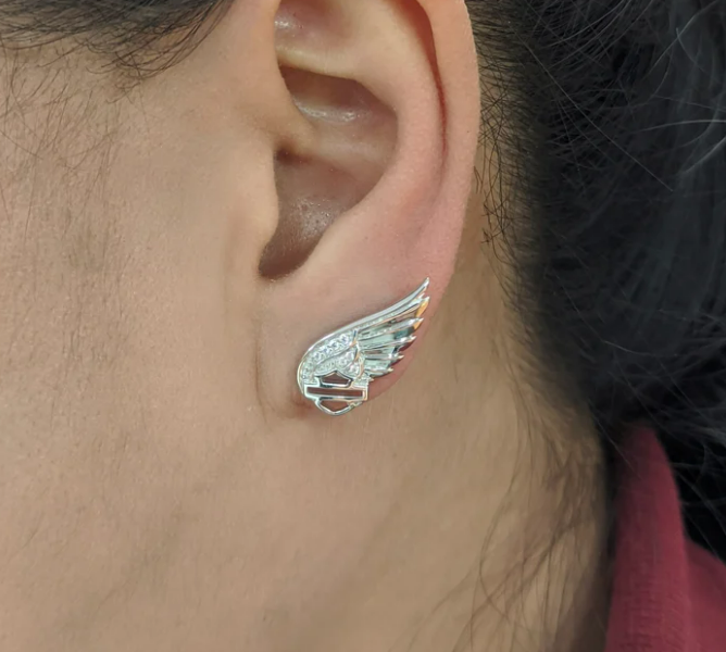 Aretes de poste con escudo y barra de ala ostentosos para mujer