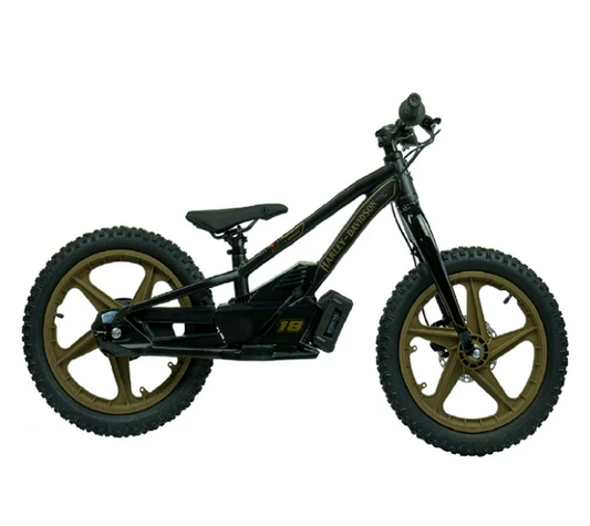 eBike 20e Low Rider Edition