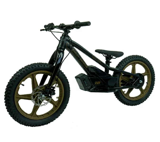 eBike 18e Low Rider Edition