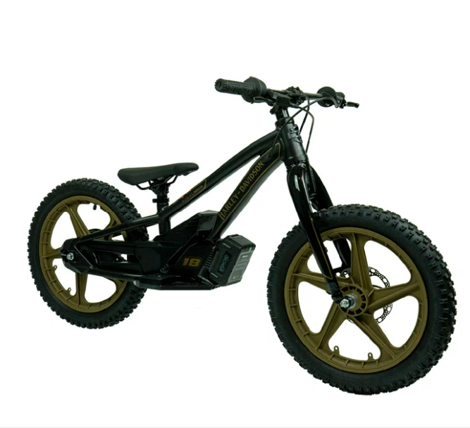 eBike 18e Low Rider Edition