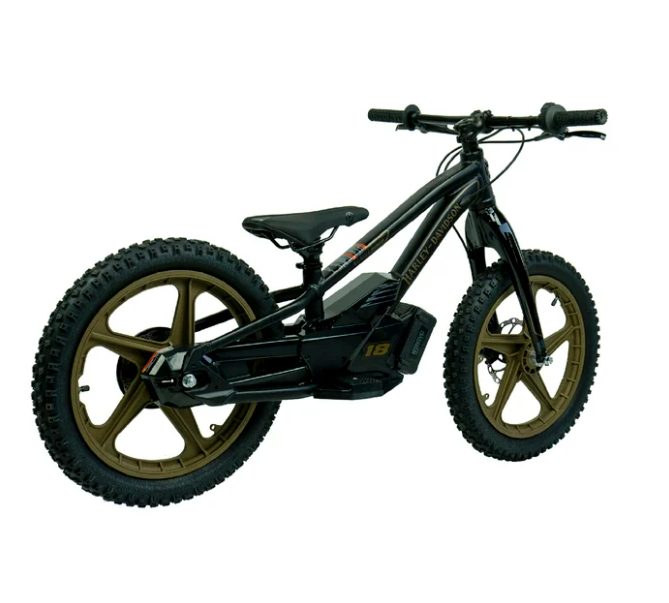 eBike 18e Low Rider Edition